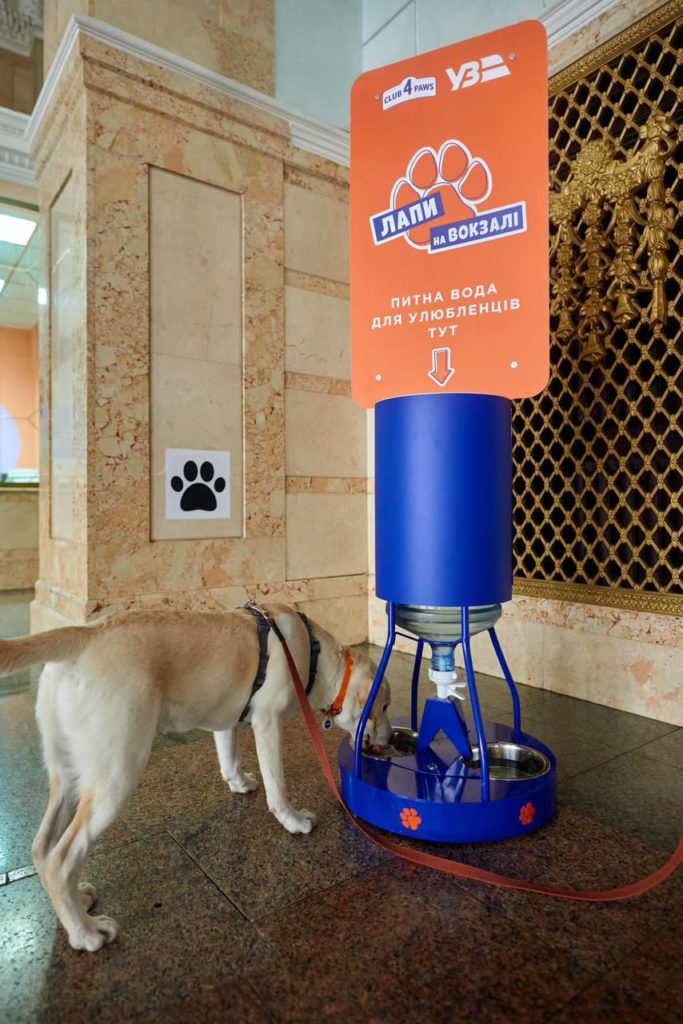 Pet-friendly вокзали: 11 українських вокзалів отримали зручні поїлки для тварин (ФОТО) 3