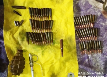 На Миколаївщині у жителів Вознесенська та Веселинове знайшли гранату та патрони (ФОТО)