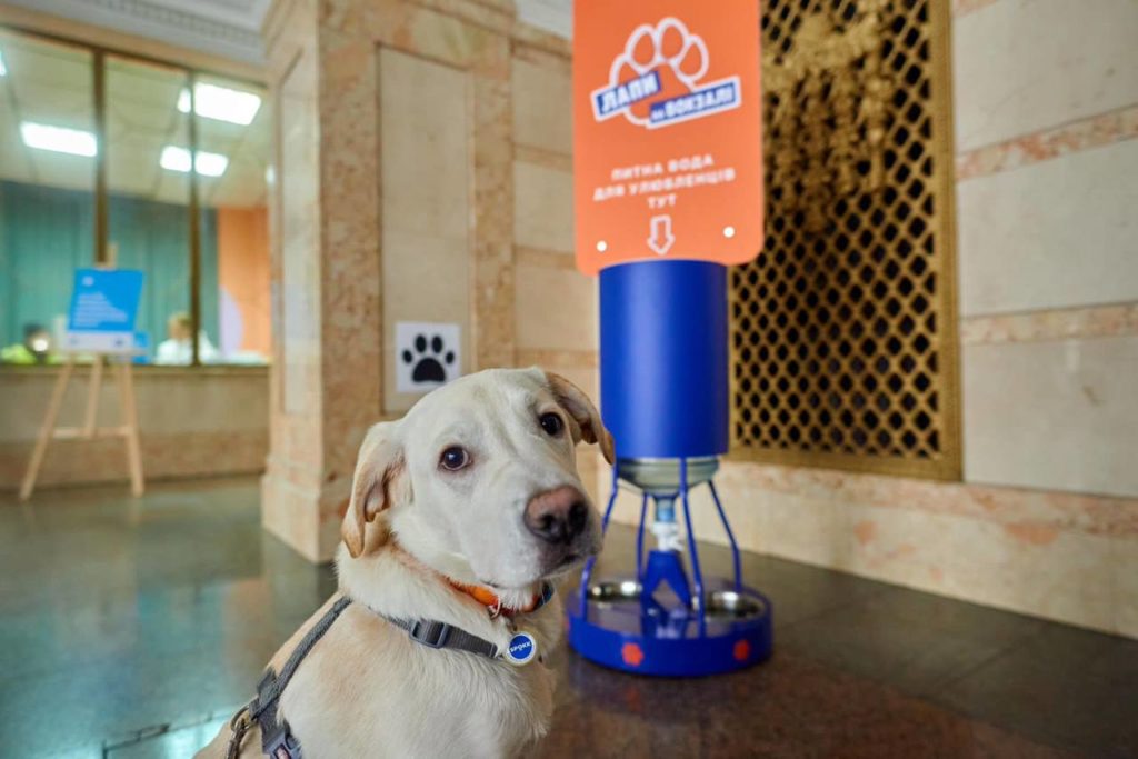 Pet-friendly вокзали: 11 українських вокзалів отримали зручні поїлки для тварин (ФОТО) 5