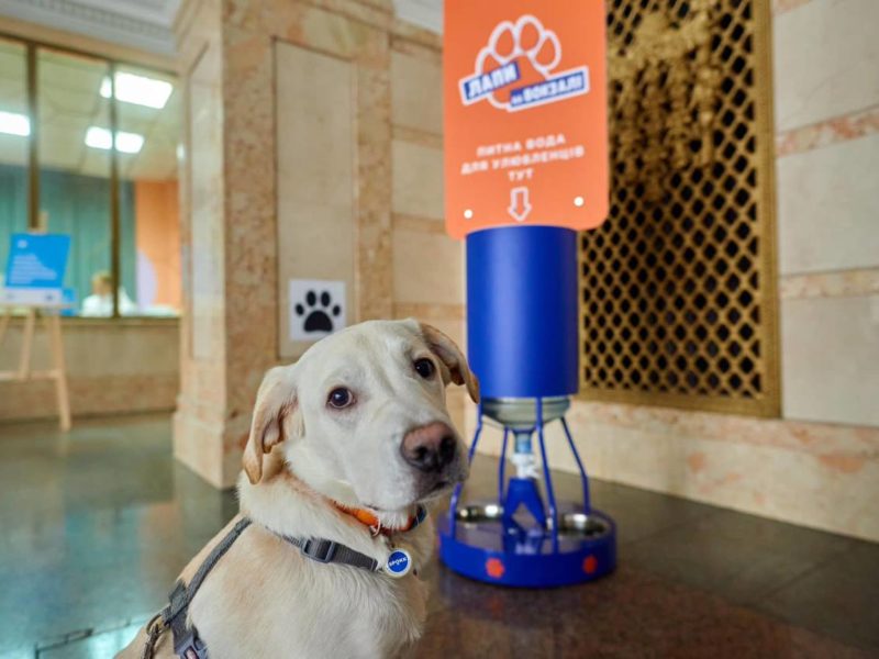Pet-friendly вокзали: 11 українських вокзалів отримали зручні поїлки для тварин (ФОТО)