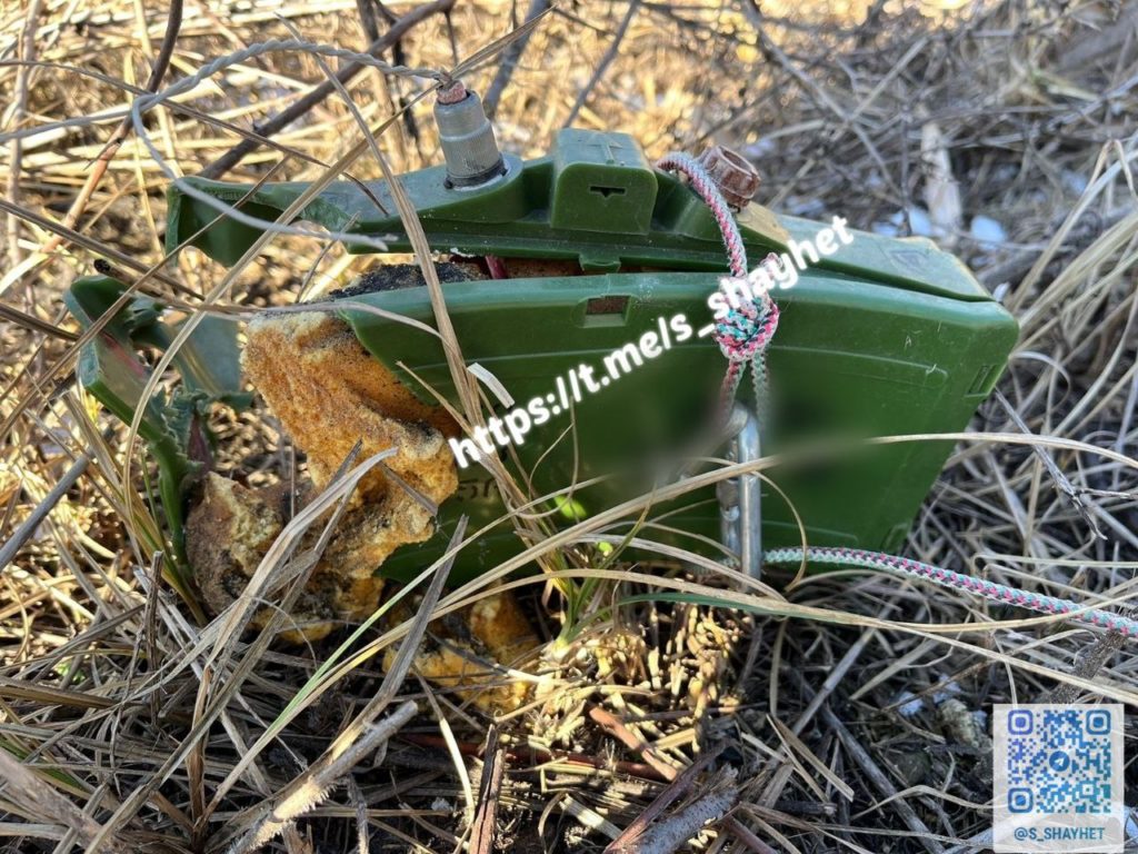 Ще небезпечно. Головний поліцейський Миколаївщини показав, як виглядають сховані в траві російські міни (ФОТО) 5