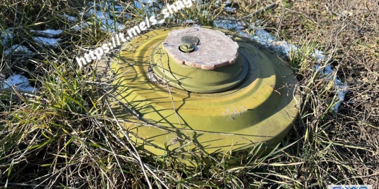 Ще небезпечно. Головний поліцейський Миколаївщини показав, як виглядають сховані в траві російські міни (ФОТО)
