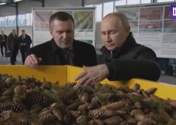 Нібито путін поїхав в Архангельську область, щоб подивитись на шишки. Сміються навіть в рф (ВІДЕО)