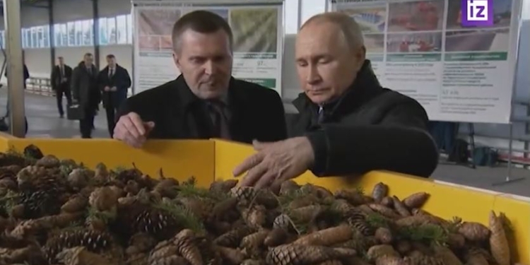 Нібито путін поїхав в Архангельську область, щоб подивитись на шишки. Сміються навіть в рф (ВІДЕО)