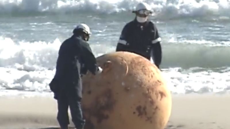 “Яйце Годзілли”. На японському пляжі знайшли загадкову кулю (ВІДЕО)