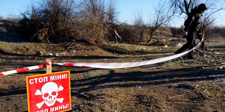 Вчора на Миколаївщині під час випасу худоби на російській міні-пелюстці підірвався чоловік (ФОТО)