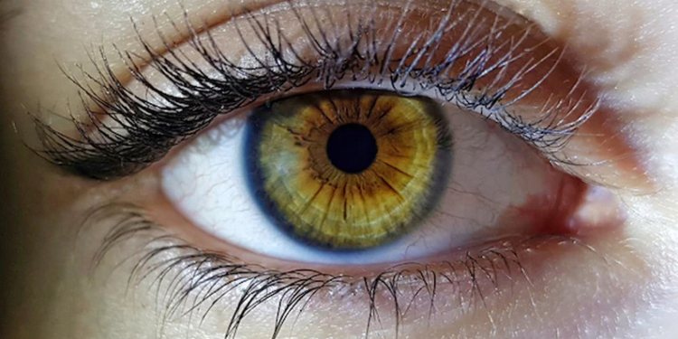 Всё о блефаропластике: кому и когда необходима пластика век?