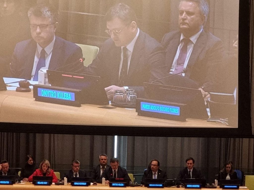 Голова Миколаївської облради Ганна Замазєєва взяла участь в офіційних заходах в штаб-квартирі ООН (ФОТО) 3