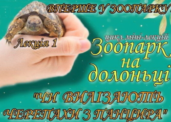Для дітей і не тільки: Миколаївський зоопарк запроваджує цикл інтерактивних міні-лекцій «Зоопарк на долонці», і перша вже – цієї неділі