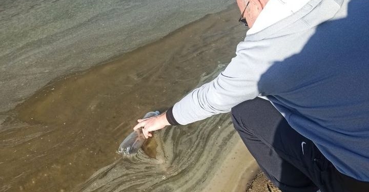 В Миколаєві після російських атак збитки довкіллю внаслідок забруднення рослинною олією акваторії Бузького лиману та земельних ділянок складають 39,9 млрд грн. (ФОТО)