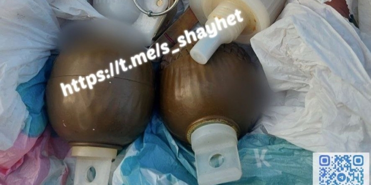 Неподалік Шостакове на Миколаївщині чоловік в лісі знайшов гранати (ФОТО)