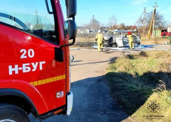 На Миколаївщині за добу рятувальники ліквідували сім пожеж, п’ять із яких п’ять в природній екосистемі (ВІДЕО)
