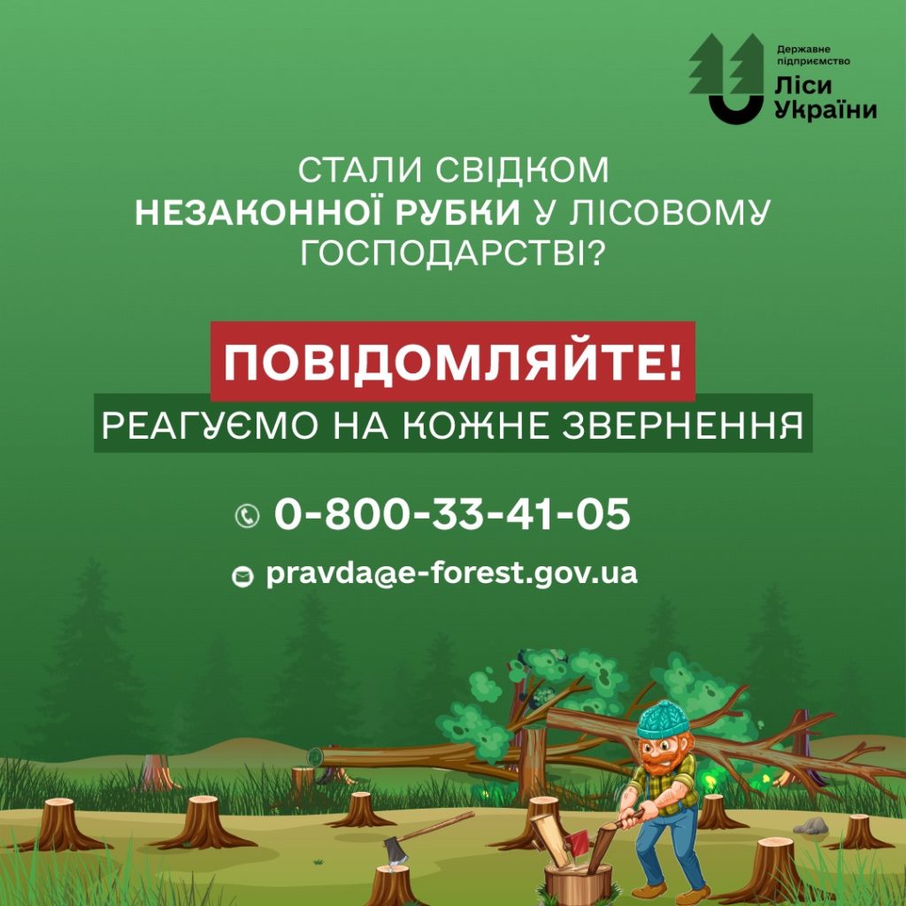 Ліси Миколаївщини треба зберегти: дзвоніть на «гарячу лінію», якщо бачите незаконну рубку 1