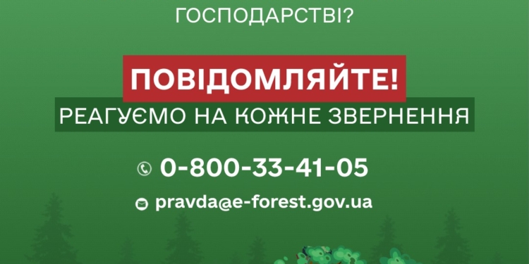 Ліси Миколаївщини треба зберегти: дзвоніть на «гарячу лінію», якщо бачите незаконну рубку