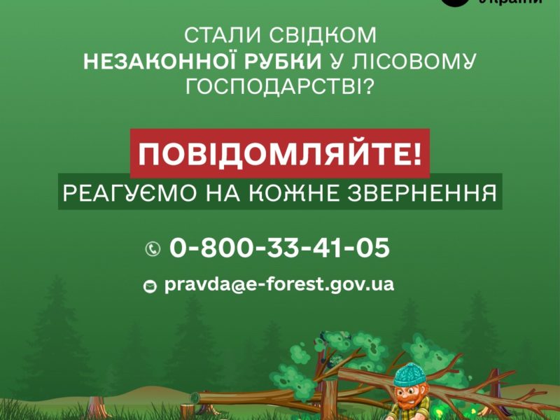 Ліси Миколаївщини треба зберегти: дзвоніть на «гарячу лінію», якщо бачите незаконну рубку