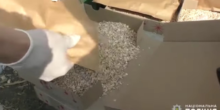 У Миколаєві поліцейські затримали розповсюджувача психотропів та канабіса (ВІДЕО)