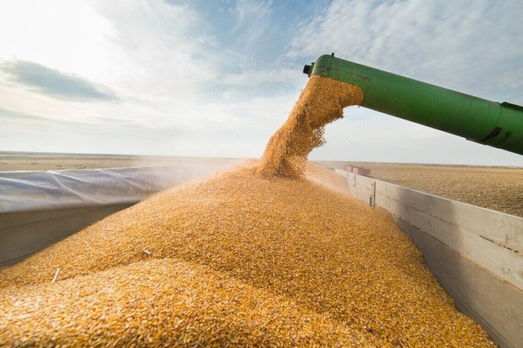 Завдяки Grain from Ukraine Україна може наблизитися до довоєнних показників експорту пшениці у нужденні країни 1