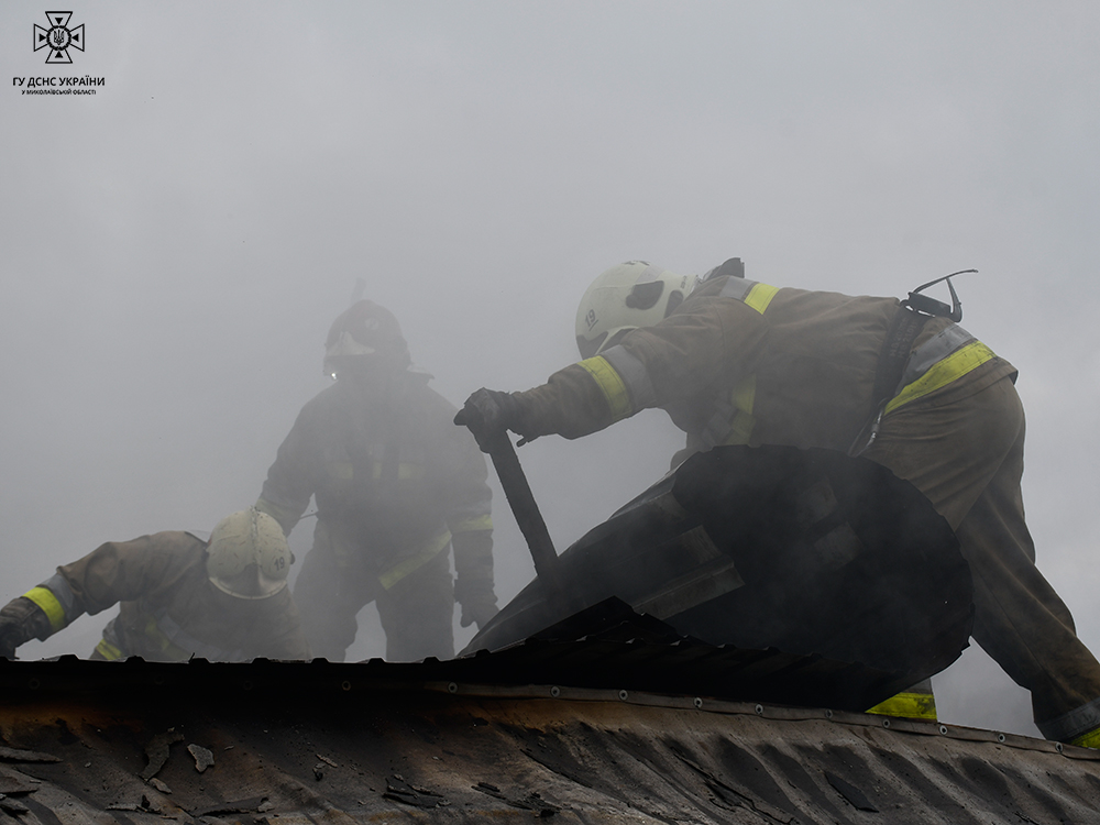 Зранку поблизу Миколаєва спалахнув дачний будинок (ФОТО) 19