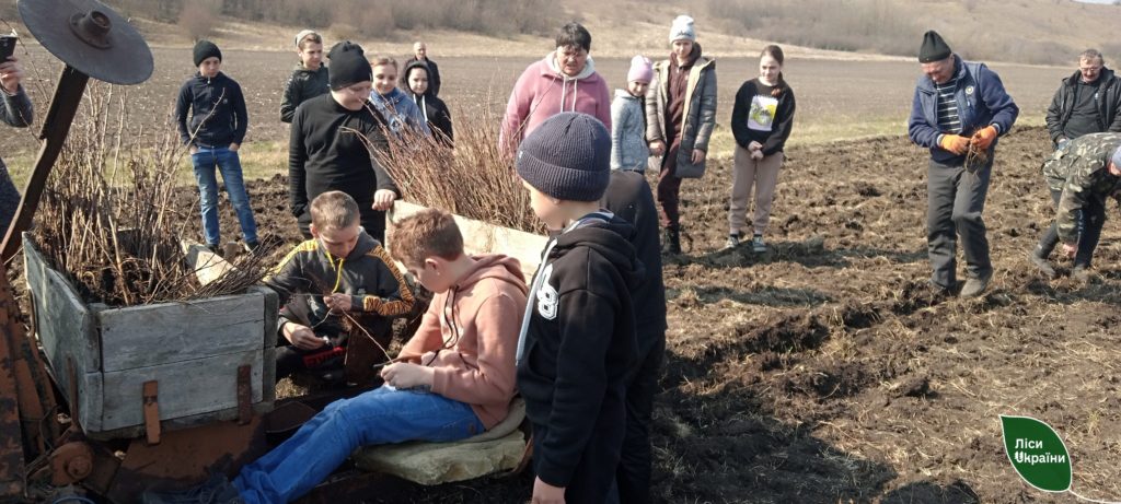 Ліси Півдня сьогодні збільшилися на 12 гектарів. Скільки висадили на Миколаївщині? (ФОТО) 30