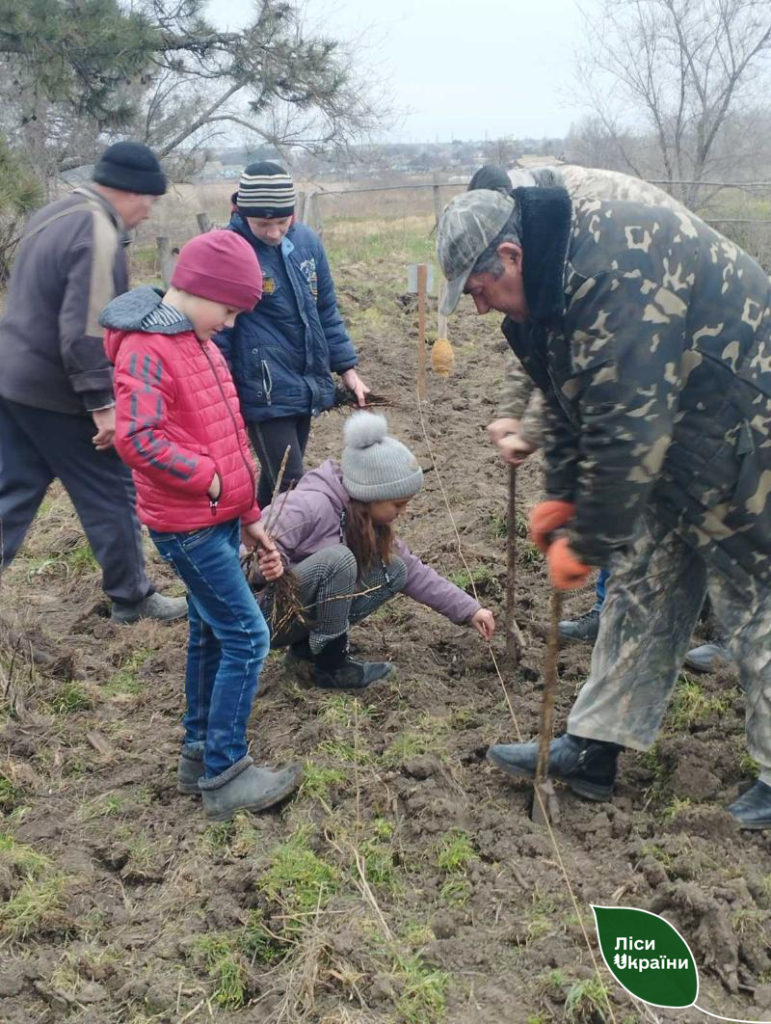 Ліси Півдня сьогодні збільшилися на 12 гектарів. Скільки висадили на Миколаївщині? (ФОТО) 34