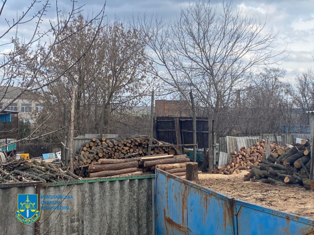 На Миколаївщині затримали чергову банду «чорних лісорубів», які нанесли збитків державі на 0,5 млн.грн. (ФОТО) 3
