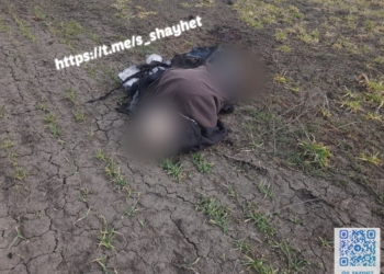 Нещасні випадки підриву на мінах на Миколаївщині: начальник поліції говорить про трьох постраждалих і одного загиблого (ФОТО)