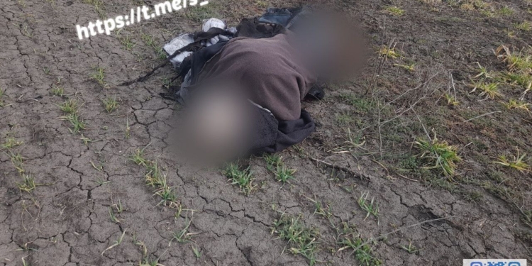 Нещасні випадки підриву на мінах на Миколаївщині: начальник поліції говорить про трьох постраждалих і одного загиблого (ФОТО)