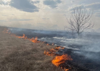 На Миколаївщині за минулу добу вигоріло 11 га відкритих територій (ФОТО)