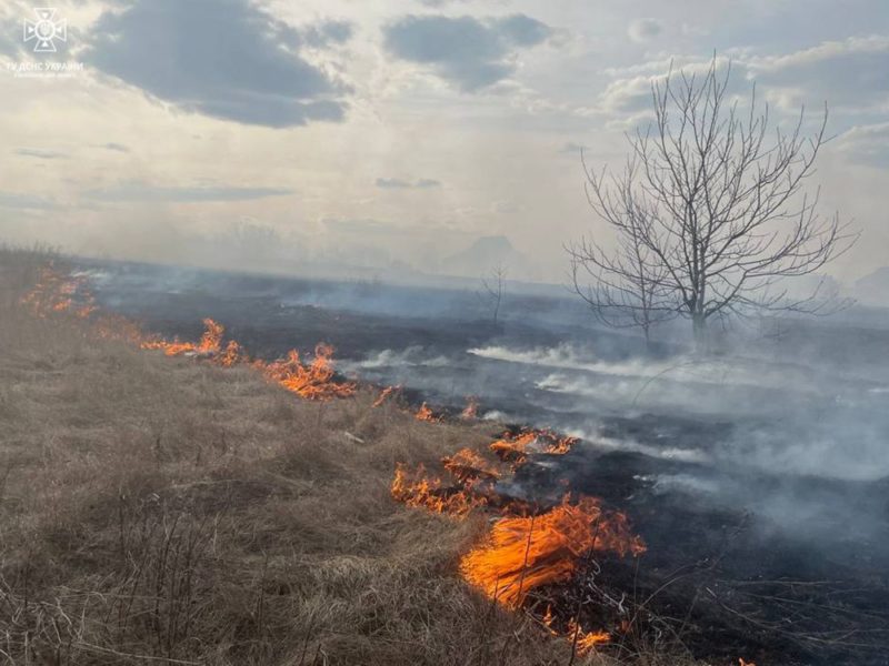 На Миколаївщині за минулу добу вигоріло 11 га відкритих територій (ФОТО)