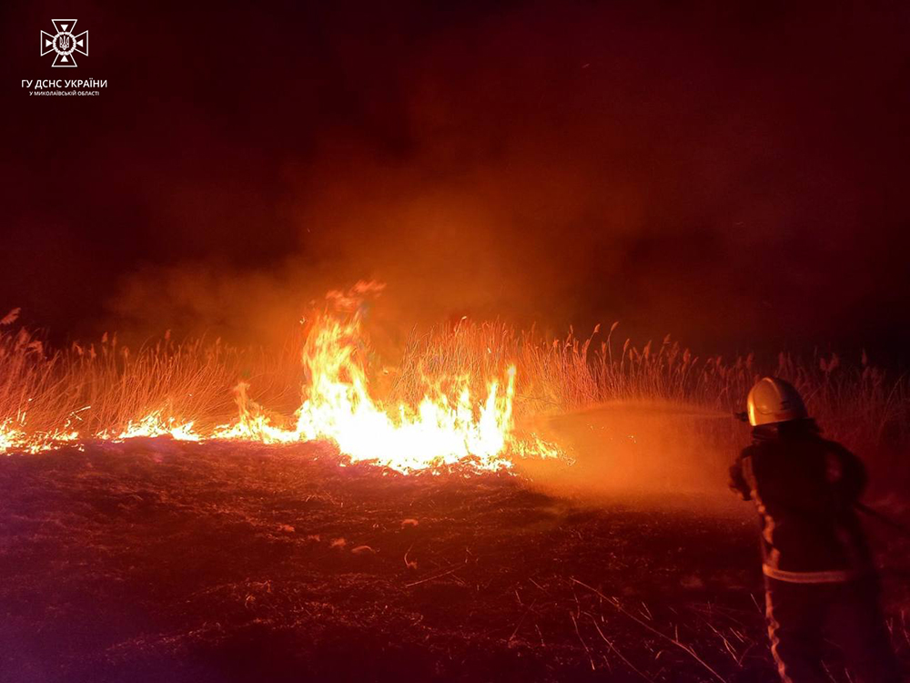 Дві пожежі в житлі та 9 – в екосистемах: що вчора гасили рятувальники Миколаївщини (ФОТО, ВІДЕО) 3