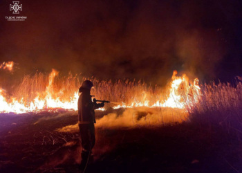 Дві пожежі в житлі та 9 – в екосистемах: що вчора гасили рятувальники Миколаївщини (ФОТО, ВІДЕО)