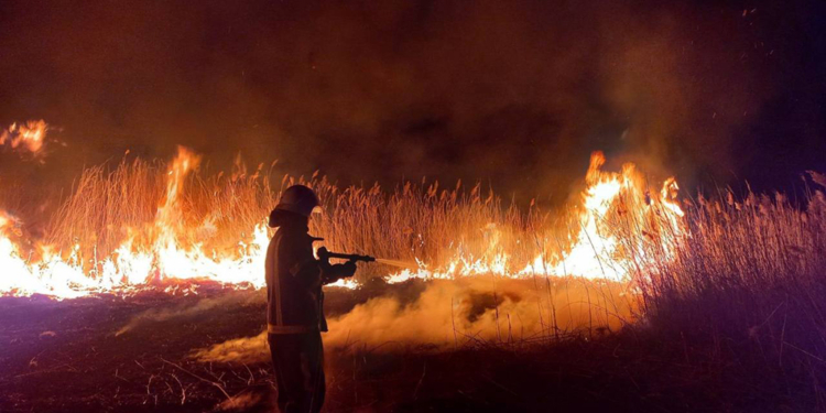 Дві пожежі в житлі та 9 – в екосистемах: що вчора гасили рятувальники Миколаївщини (ФОТО, ВІДЕО)