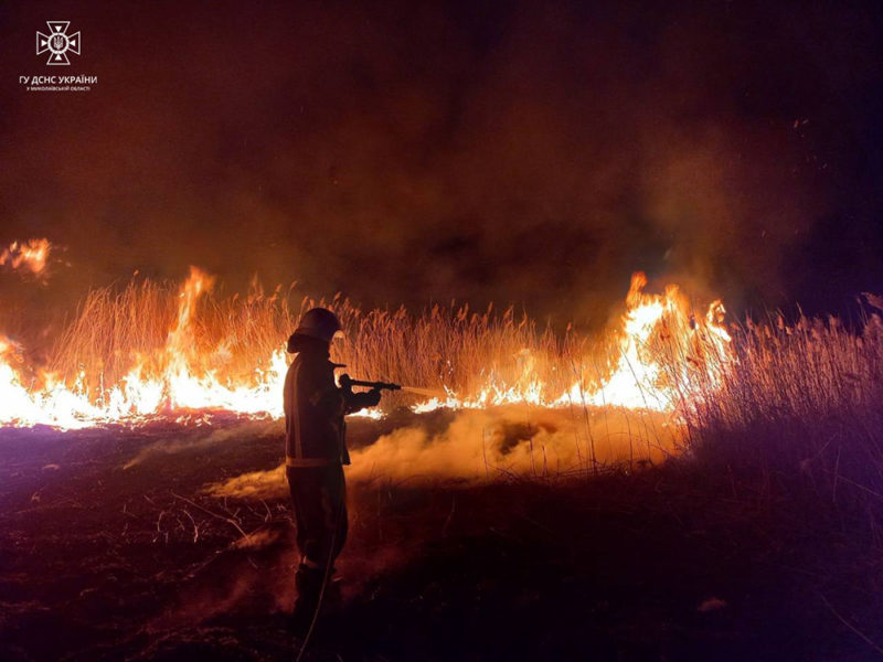 Дві пожежі в житлі та 9 – в екосистемах: що вчора гасили рятувальники Миколаївщини (ФОТО, ВІДЕО)