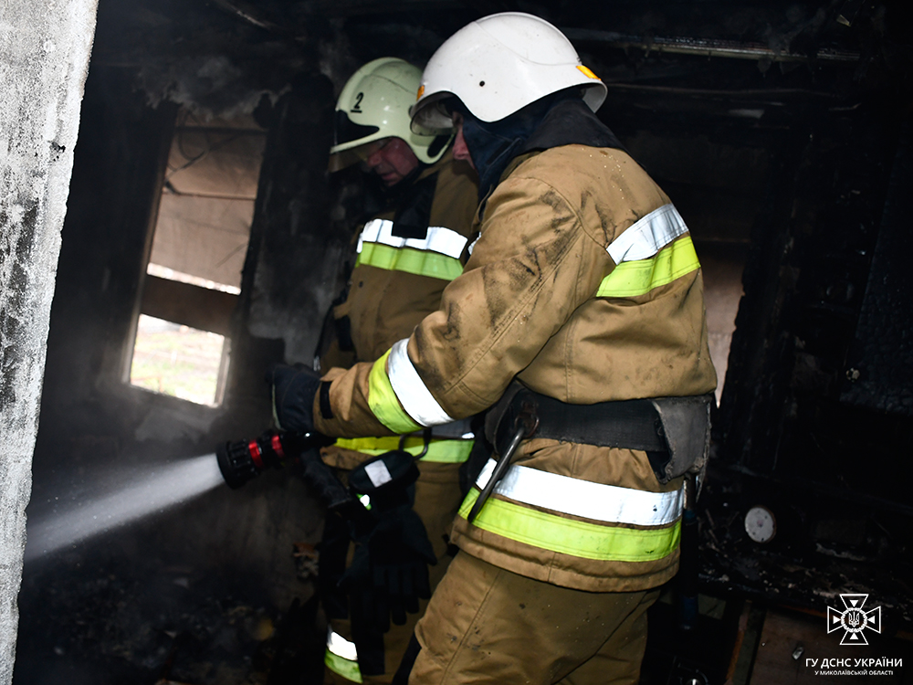 Зранку поблизу Миколаєва спалахнув дачний будинок (ФОТО) 5