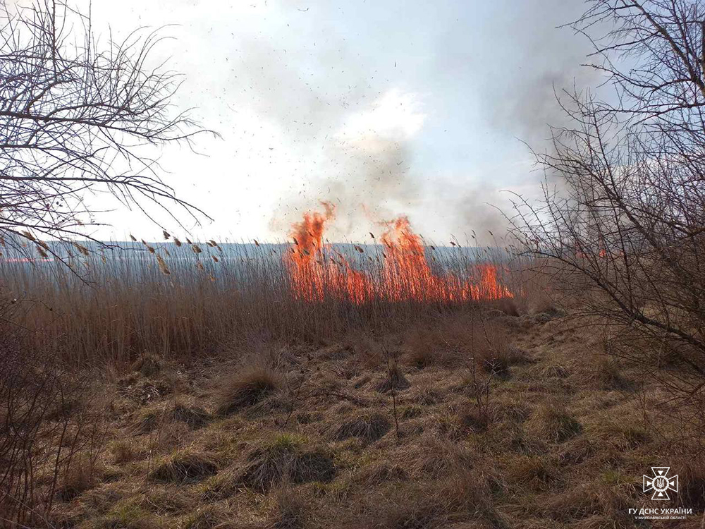 На одній з пожеж на Миколаївщині минулої доби загинула 67-річна жінка (ФОТО) 7