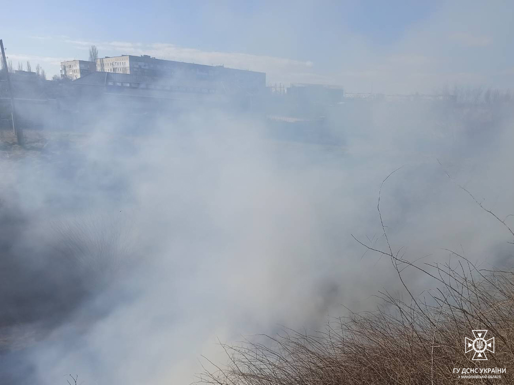 На Миколаївщині за добу загасили три пожежі (ФОТО) 9