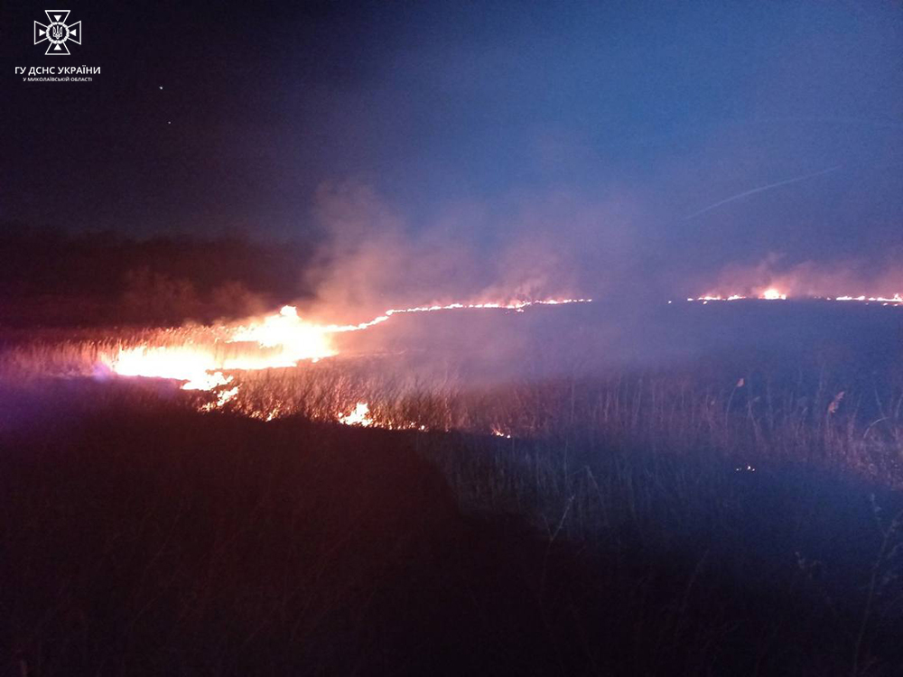 На одній з пожеж на Миколаївщині минулої доби загинула 67-річна жінка (ФОТО) 9