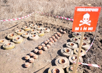 Розмінування Миколаївщини: тільки за вчора вилучено 116 російських боєприпасів (ФОТО, ВІДЕО)