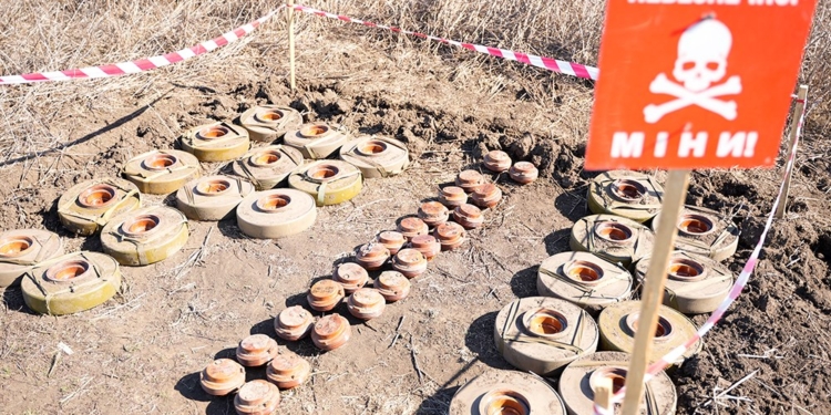 Розмінування Миколаївщини: тільки за вчора вилучено 116 російських боєприпасів (ФОТО, ВІДЕО)