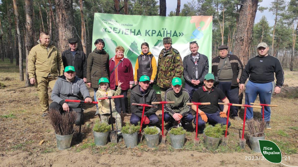 Ліси Півдня сьогодні збільшилися на 12 гектарів. Скільки висадили на Миколаївщині? (ФОТО) 12