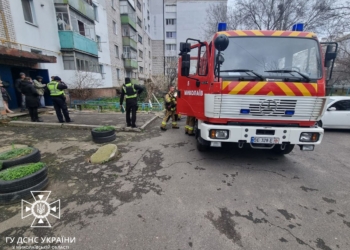 На одній з пожеж в Миколаївській області постраждав чоловік (ФОТО)