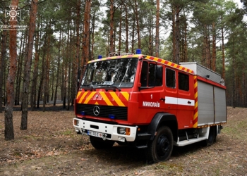 В Матвіївсько-Баловнянському урочищі під Миколаєвом гасили лісову пожежу (ФОТО)