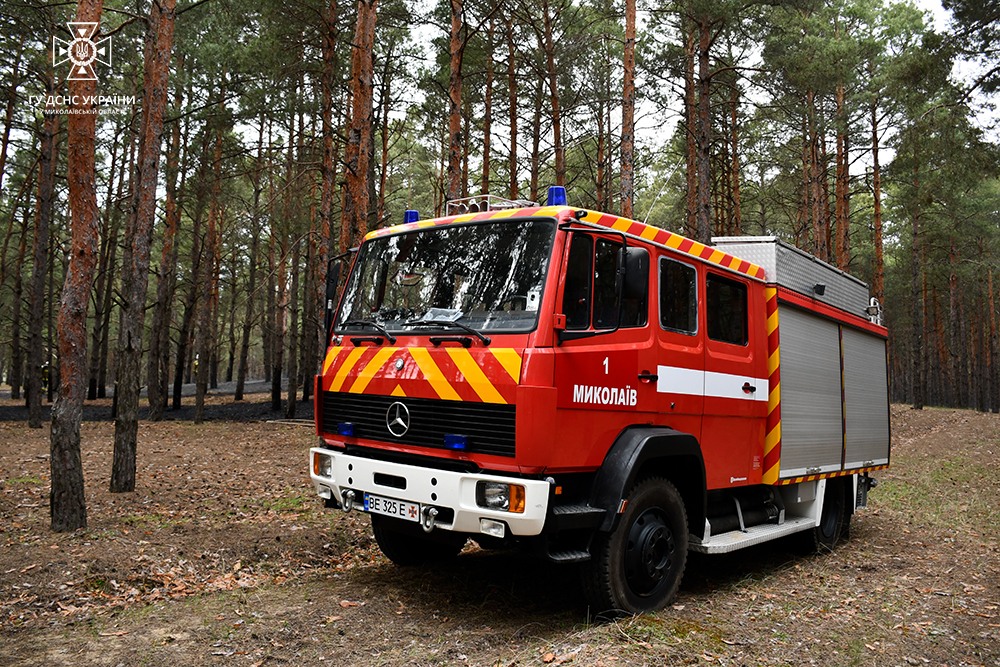 В Матвіївсько-Баловнянському урочищі під Миколаєвом гасили лісову пожежу (ФОТО) 36