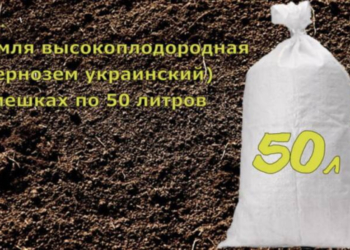 Продовжили справу німецьких фашистів. В РФ з радісними анонсами продають український чорнозем (ФОТО)