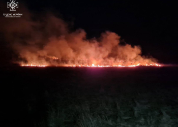 На Миколаївщині різко побільшало пожеж на відкритих територіях (ФОТО)