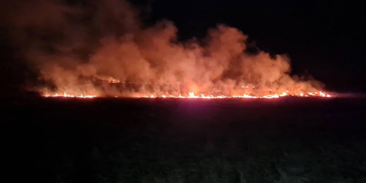 На Миколаївщині різко побільшало пожеж на відкритих територіях (ФОТО)