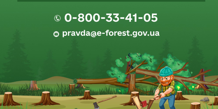 Рятуємо ліси. Бачите незаконну вирубку – дзвоніть
