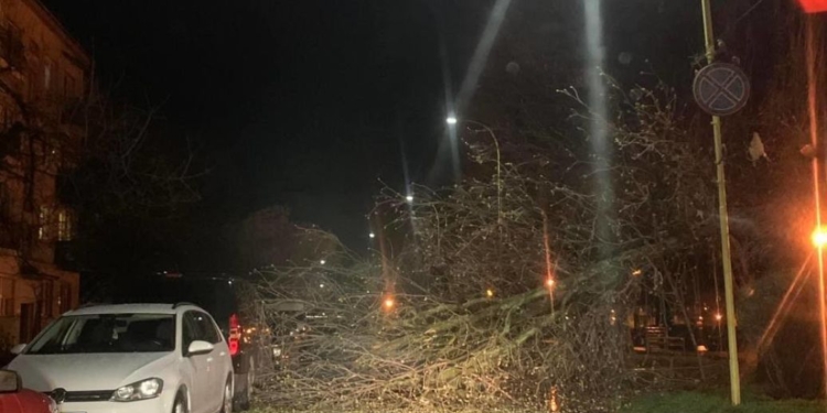 Ужгородом пронісся буревій – дерева падали, дахи літали (ФОТО, ВІДЕО)