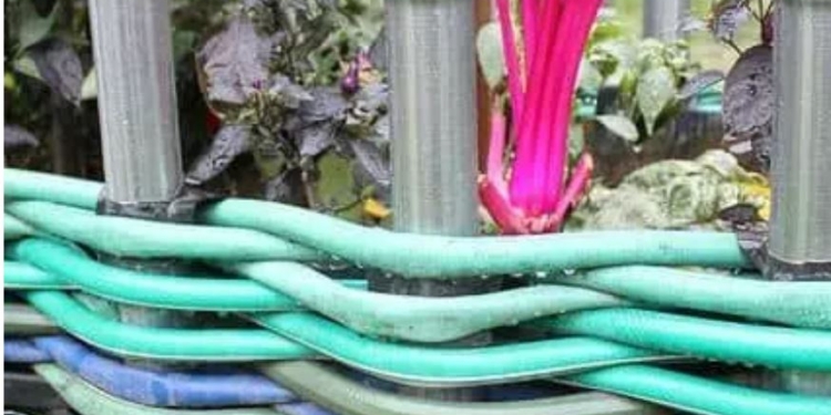 На порозі дачний сезон. Не викидайте старі шланги, їм можна дати нове життя (ФОТО)