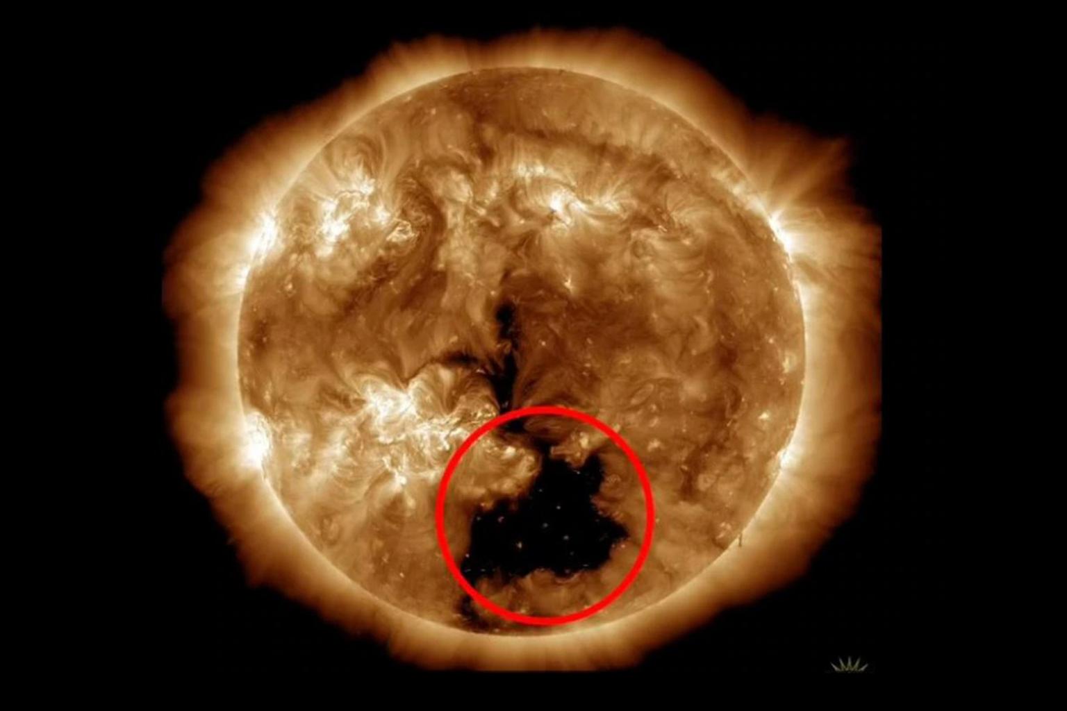 На Сонці виявили гігантську діру, більшу за Землю в 20 разів. Чим це нам загрожує, – New York Post (ФОТО) 6
